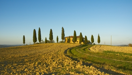 Agriturismi a Siena